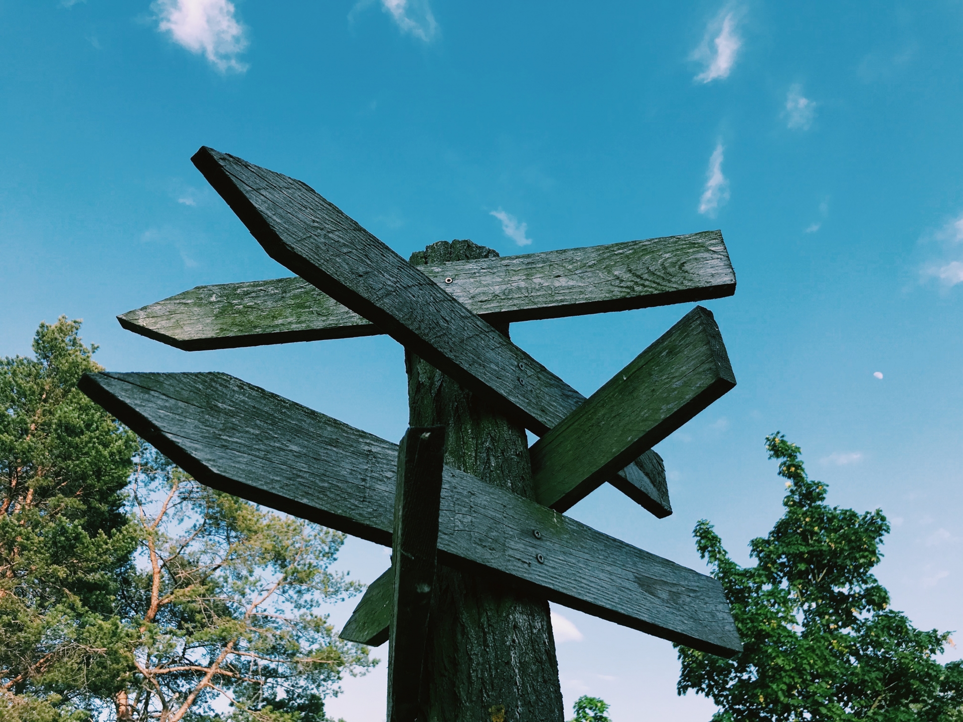 森の中の道しるべ